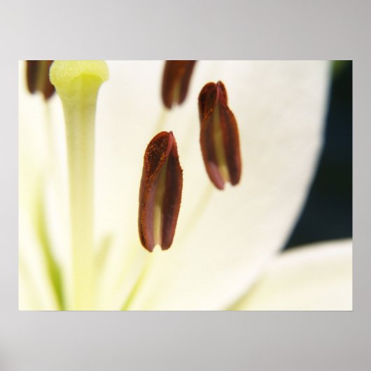 Impression sérielle (Devant)