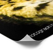 Impression servale (Coin)