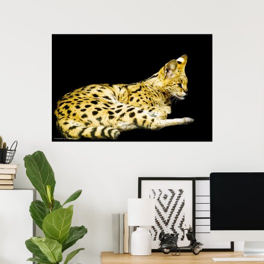 Impression servale (Bureau à domicile)