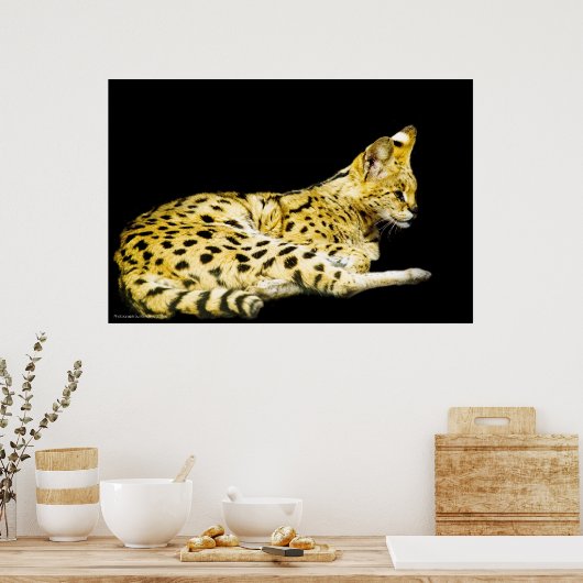 Impression servale (Cuisine)