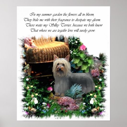 Impression Silky Terrier Art (Devant)