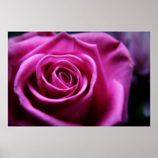 Impression Soft Rose (Devant)