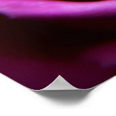 Impression Soft Rose (Coin)