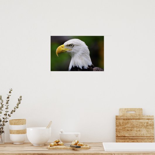 Impression Southern Bald Eagle (Cuisine)
