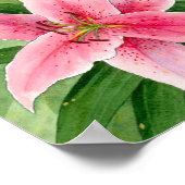 impression stargazerlie (Coin)