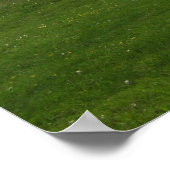 Impression Stonehenge (Coin)