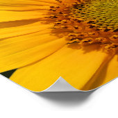 Impression Sunflower (Coin)