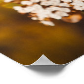 Impression sur affiche Fleurs de Viorne Blanche en (Coin)