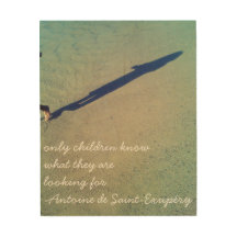 Citations du Petit Prince/Le Petit Prince