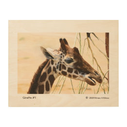 Impression Sur Bois Girafe N° 1