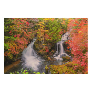 Impression Sur Bois Les cascades   Cascades de Faucet Nikko Japon Chut