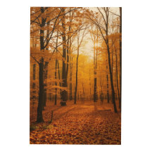 Mur feuille à &Décor