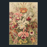 Impression Sur Bois Orchidées, Orchidées Denusblumen par Ernst Haeckel<br><div class="desc">Orchidées,  Orchidées Denusblumen par Ernst Haeckel Wood Wall Art</div>