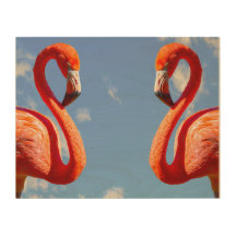 paire de flamants des Caraïbes
