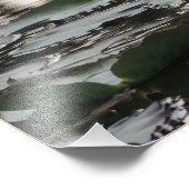 Impression sur photo - Art mural de nénuphar (Coin)