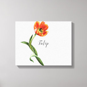 Impression sur toile à l'aquarelle de tulipe orang