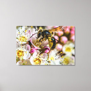 Impression sur toile Abeille dans le quartier 36