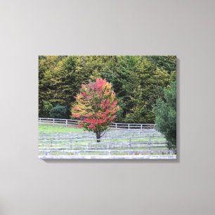 IMPRESSION SUR TOILE/ARBRE MULTICOLORE DANS UN CHA