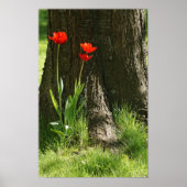 Impression sur toile avec tulipes rouges sur le tr (Devant)