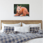 Impression sur toile bébé écureuil avec noix (Insitu(Chambre))