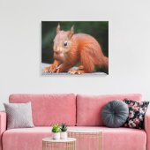 Impression sur toile bébé écureuil avec noix (Insitu(Salon))
