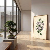 Impression sur toile botanique de Vinca
