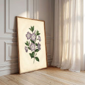 Impression sur toile botanique de Vinca