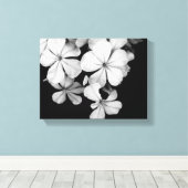 Impression sur toile botanique Plumbago noir et bl (Insitu (Plancher de Bois))