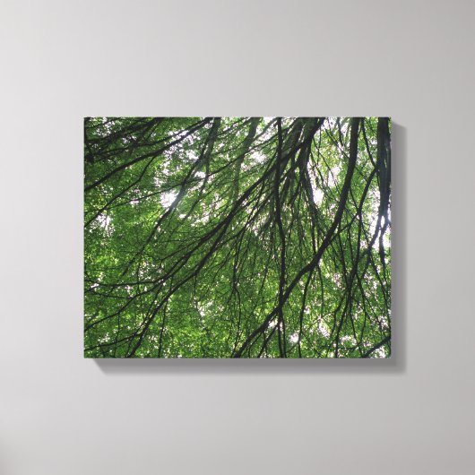 Impression sur toile Branches et Feuilles (Recto)