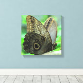 Impression sur toile Butterfly Floral (Insitu (Plancher de Bois))