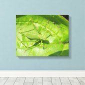 Impression sur toile Camouflage de cricket vert (Insitu (Plancher de Bois))