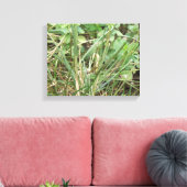 Impression sur toile Camouflage de sauterelle (Insitu(Salon))