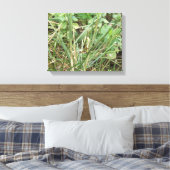 Impression sur toile Camouflage de sauterelle (Insitu(Chambre))