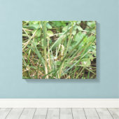 Impression sur toile Camouflage de sauterelle (Insitu (Plancher de Bois))