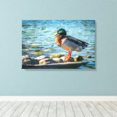 Impression sur toile Canard colvert | Art d'oiseau (Insitu (Plancher de Bois))