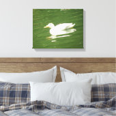 Impression sur toile Canard sur l'eau (Insitu(Chambre))