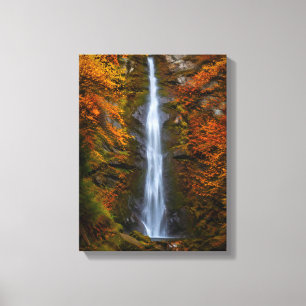 Impression sur toile Cascade n°1, série Cascades