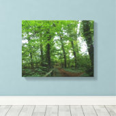 Impression sur toile Chemin à travers la forêt ver (Insitu (Plancher de Bois))