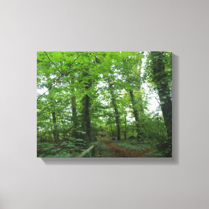 Impression sur toile Chemin à travers la forêt ver