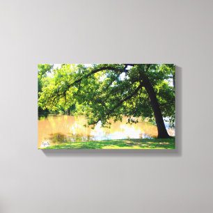 Impression sur toile Chêne au bord de l'eau