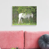 Impression sur toile Cheval Blanc Timide (Insitu(Salon))