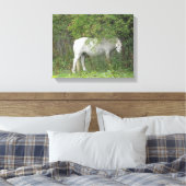 Impression sur toile Cheval Blanc Timide (Insitu(Chambre))