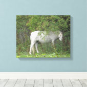 Impression sur toile Cheval Blanc Timide (Insitu (Plancher de Bois))