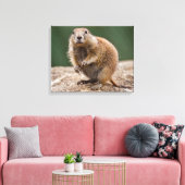Impression sur toile Chien de prairie curieux (Insitu(Salon))