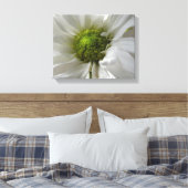 Impression sur toile Chrysanthème blanc (Insitu(Chambre))