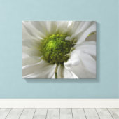 Impression sur toile Chrysanthème blanc (Insitu (Plancher de Bois))