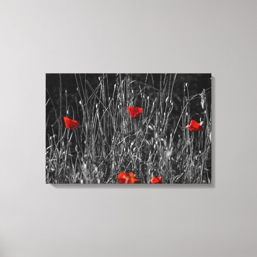 Impression sur toile - Coquelicots de solitude rou (Recto)