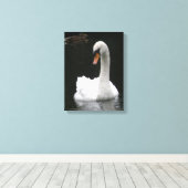 Impression sur toile Cygne blanc (Insitu (Plancher de Bois))