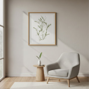 Impression sur toile d'algue marine Chara fragilis