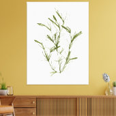 Impression sur toile d'algue marine Chara fragilis (Insitu(Salon))